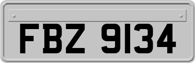 FBZ9134