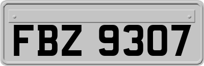 FBZ9307
