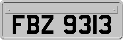 FBZ9313