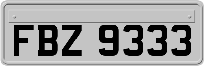 FBZ9333