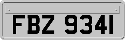FBZ9341