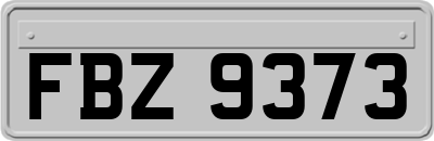FBZ9373