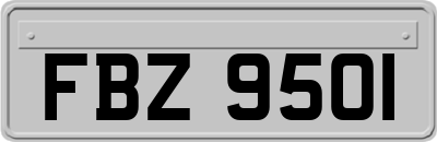 FBZ9501