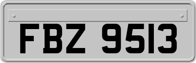 FBZ9513