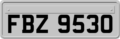 FBZ9530
