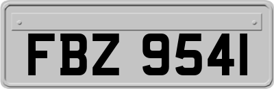 FBZ9541