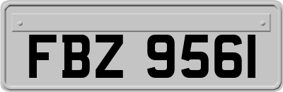 FBZ9561