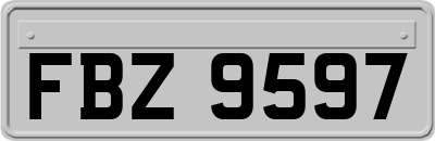 FBZ9597