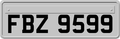 FBZ9599