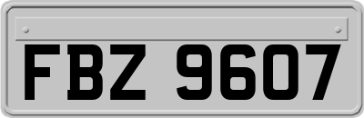 FBZ9607