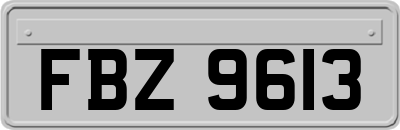 FBZ9613
