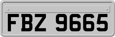 FBZ9665