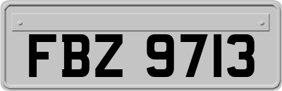 FBZ9713