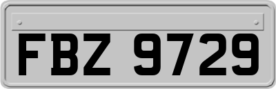 FBZ9729