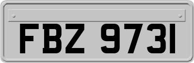FBZ9731