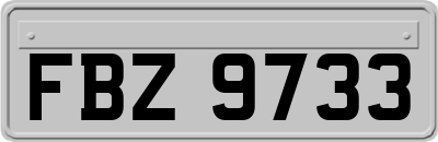 FBZ9733