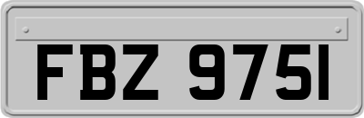 FBZ9751