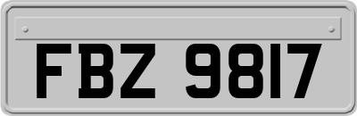 FBZ9817