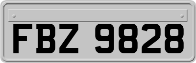 FBZ9828