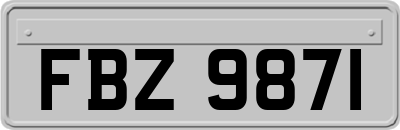 FBZ9871