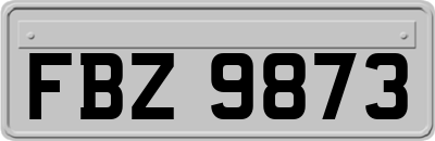 FBZ9873