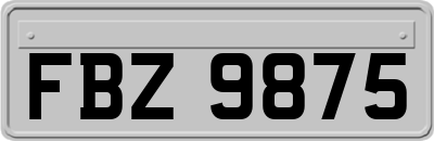 FBZ9875