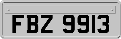 FBZ9913