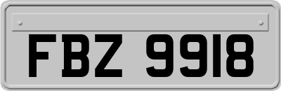FBZ9918