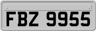 FBZ9955