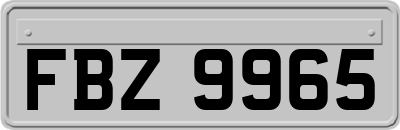 FBZ9965