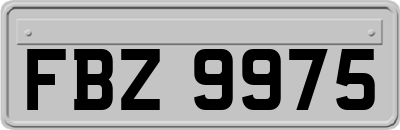 FBZ9975