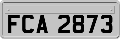 FCA2873
