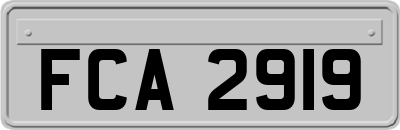 FCA2919