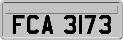 FCA3173