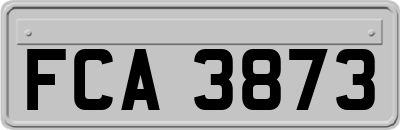 FCA3873