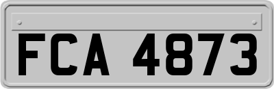 FCA4873