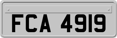 FCA4919