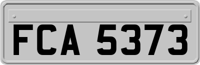FCA5373