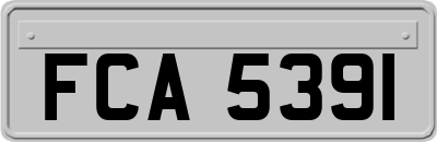 FCA5391
