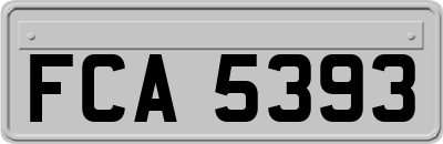 FCA5393