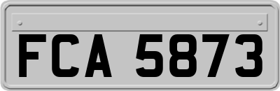 FCA5873