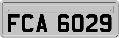 FCA6029