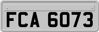 FCA6073