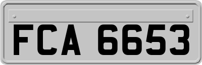 FCA6653