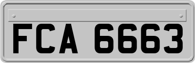 FCA6663