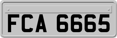 FCA6665
