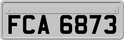 FCA6873