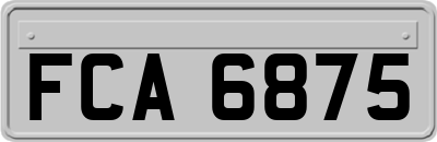 FCA6875