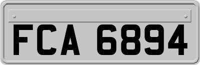 FCA6894
