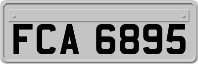 FCA6895